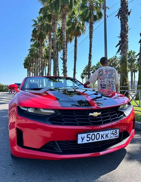 Пальмовая аллея<br>